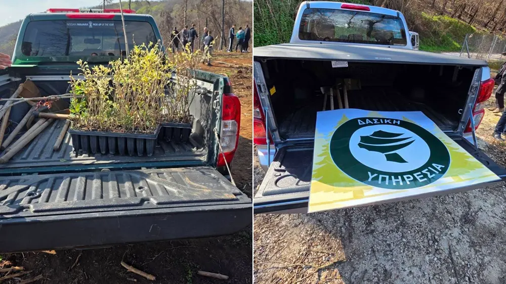 0bac6a6f 7839 4ece 99a7 a674eb013ffe