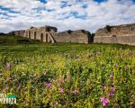 3 θέσεις εποχικών στην Εφορεία Αρχαιοτήτων Πρέβεζας