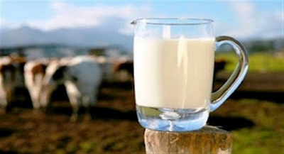 ΔΗΜΑΡ Πρέβεζας: «Η κυβέρνηση οφείλει να εγκαταλείψει άμεσα τους πειραματισμούς με την επιμήκυνση στη διάρκεια ζωής του γάλακτος»