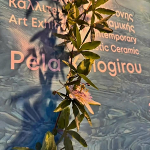 Παρατείνεται η έκθεση καλλιτεχνικής κεραμικής και γλυπτικής "Θάλασσα, Sea, البحر ..." της Πέλας Καλογήρου