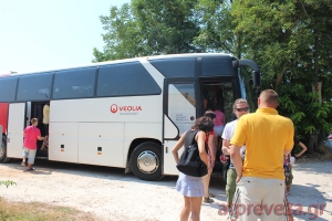 Σπάνιο έντομο στους Αγίους Αποστόλους Πρέβεζας;