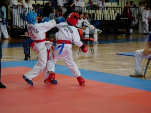 Με απόλυτη επιτυχία το 2ο Πανευρωπαϊκό Όπεν Πρωτάθλημα Taekwon-do