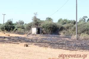 Εκδηλώθηκε φωτιά στον Ορυζόμυλο Πρέβεζας