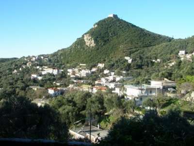 Κυριακή των Βαΐων στην Ανθούσα
