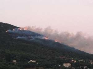 Φωτιά στην Αγία Κυριακή Πάργας